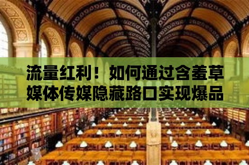 流量紅利！如何通過(guò)含羞草媒體傳媒隱藏路口實(shí)現(xiàn)爆品銷售