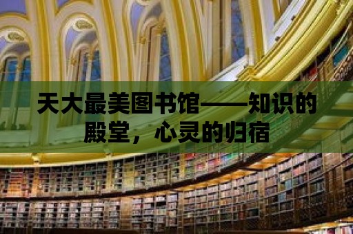 天大最美圖書館——知識(shí)的殿堂，心靈的歸宿