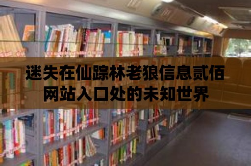 迷失在仙蹤林老狼信息貳佰網(wǎng)站入口處的未知世界