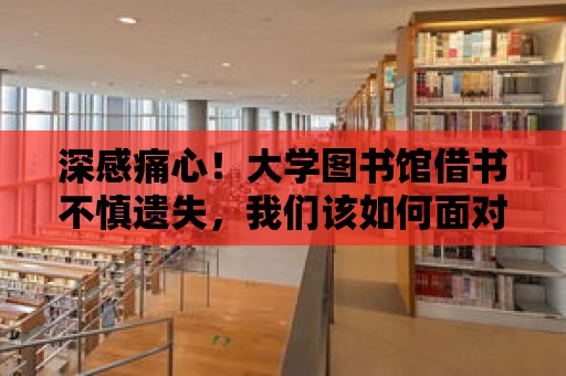 深感痛心！大學圖書館借書不慎遺失，我們該如何面對？