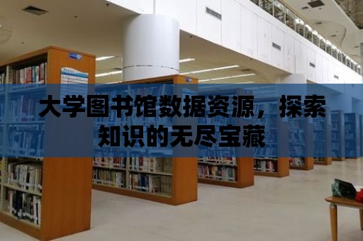 大學圖書館數(shù)據(jù)資源，探索知識的無盡寶藏