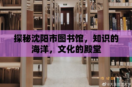 探秘沈陽市圖書館，知識的海洋，文化的殿堂