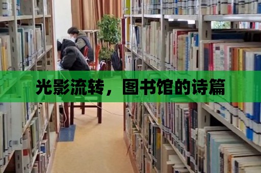 光影流轉，圖書館的詩篇