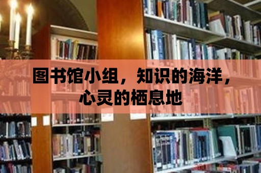 圖書館小組，知識的海洋，心靈的棲息地