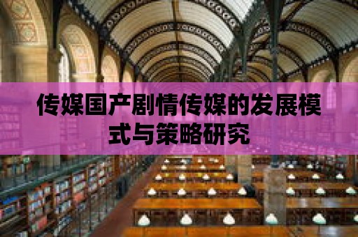 傳媒國產劇情傳媒的發展模式與策略研究