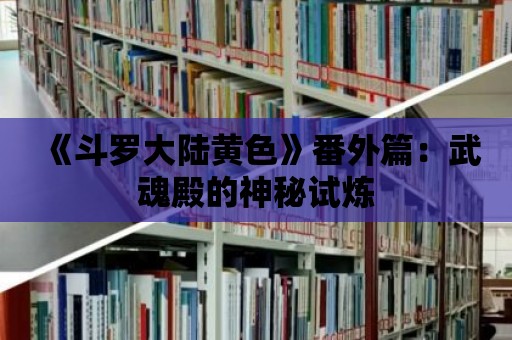 《斗羅大陸黃色》番外篇：武魂殿的神秘試煉