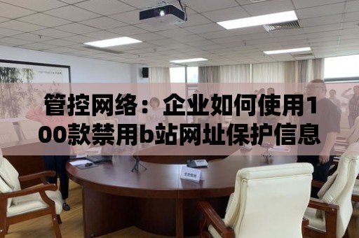 管控網絡：企業如何使用100款禁用b站網址保護信息安全？