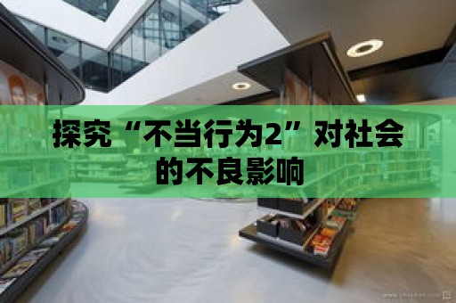 探究“不當行為2”對社會的不良影響