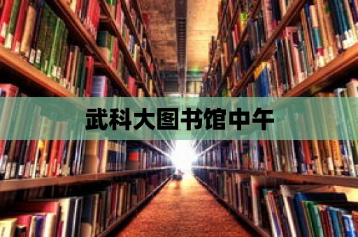 武科大圖書館中午