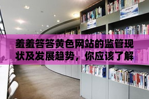 羞羞答答黃色網站的監管現狀及發展趨勢，你應該了解