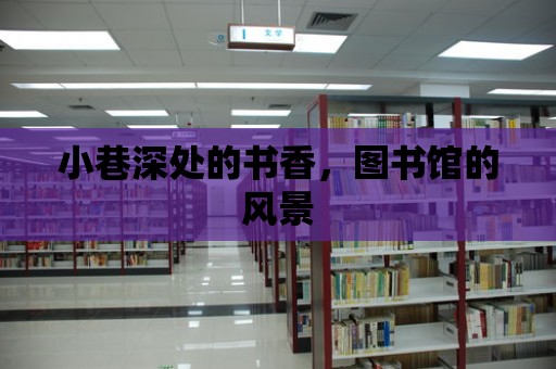 小巷深處的書香，圖書館的風景