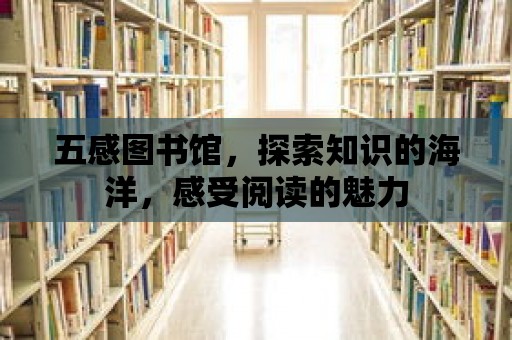 五感圖書館，探索知識(shí)的海洋，感受閱讀的魅力