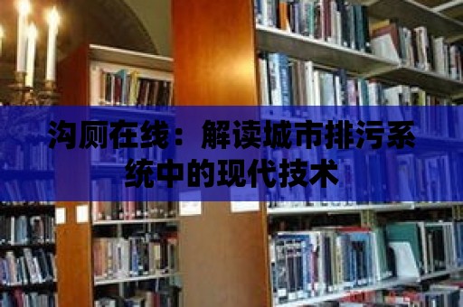 溝廁在線：解讀城市排污系統中的現代技術