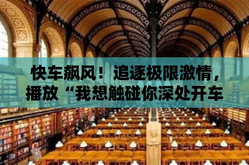 快車飆風！追逐極限激情，播放“我想觸碰你深處開車游戲”