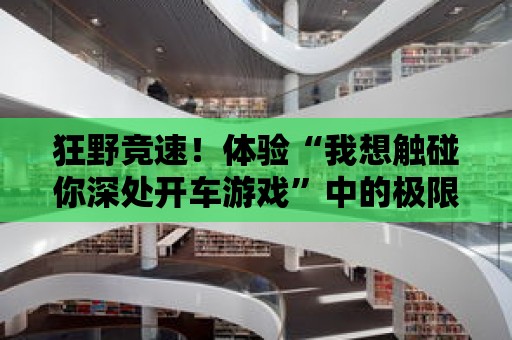 狂野競速！體驗“我想觸碰你深處開車游戲”中的極限賽道