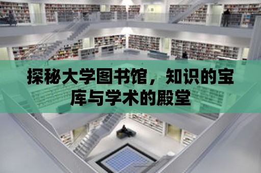 探秘大學圖書館，知識的寶庫與學術的殿堂