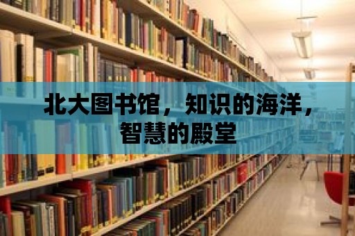 北大圖書館，知識的海洋，智慧的殿堂