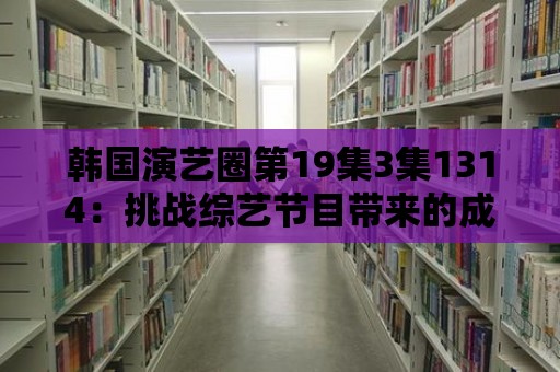 韓國演藝圈第19集3集1314：挑戰綜藝節目帶來的成長與突破