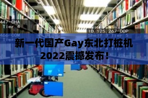 新一代國產Gay東北打樁機2022震撼發(fā)布！