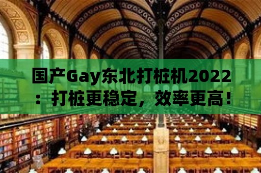 國(guó)產(chǎn)Gay東北打樁機(jī)2022：打樁更穩(wěn)定，效率更高！