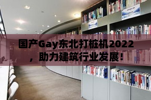 國產(chǎn)Gay東北打樁機2022，助力建筑行業(yè)發(fā)展！