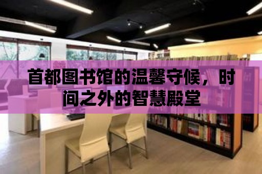 首都圖書館的溫馨守候，時間之外的智慧殿堂