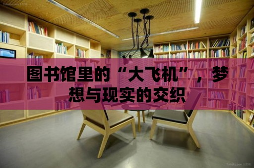 圖書館里的“大飛機”，夢想與現實的交織