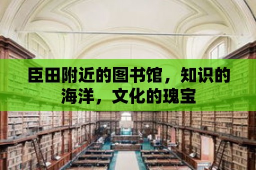 臣田附近的圖書館，知識的海洋，文化的瑰寶