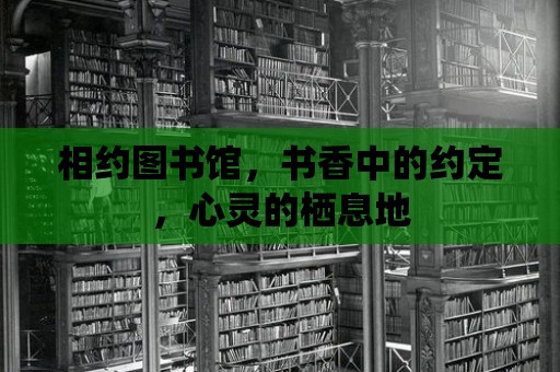 相約圖書館，書香中的約定，心靈的棲息地