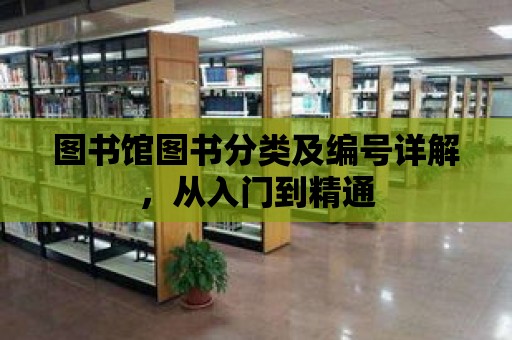 圖書館圖書分類及編號詳解，從入門到精通