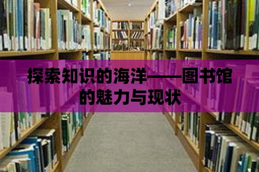 探索知識的海洋——圖書館的魅力與現狀