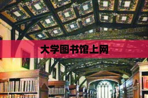 大學圖書館上網