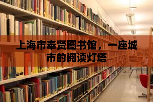 上海市奉賢圖書館，一座城市的閱讀燈塔