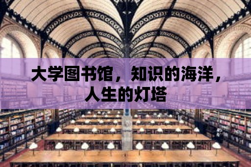 大學(xué)圖書館，知識的海洋，人生的燈塔