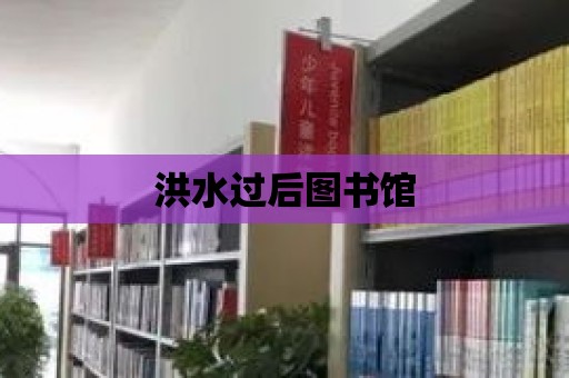 洪水過(guò)后圖書館