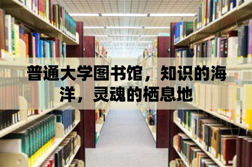 普通大學圖書館，知識的海洋，靈魂的棲息地