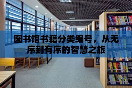 圖書館書籍分類編號，從無序到有序的智慧之旅