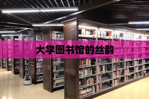 大學圖書館的絲韻