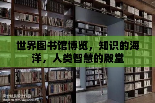 世界圖書館博覽，知識的海洋，人類智慧的殿堂