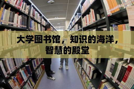 大學(xué)圖書館，知識的海洋，智慧的殿堂