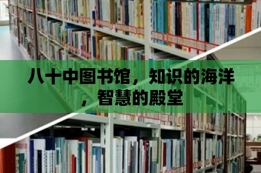 八十中圖書館，知識的海洋，智慧的殿堂