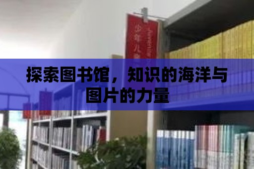 探索圖書館，知識的海洋與圖片的力量