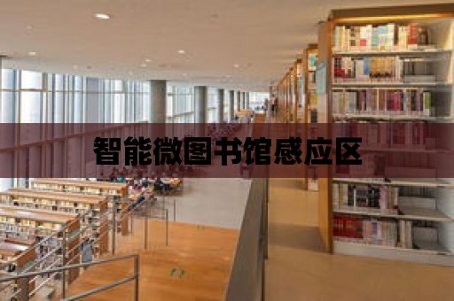 智能微圖書館感應區(qū)