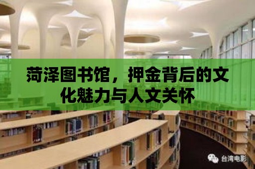 菏澤圖書館，押金背后的文化魅力與人文關懷