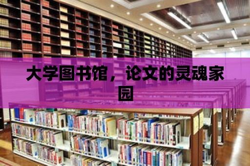 大學(xué)圖書館，論文的靈魂家園