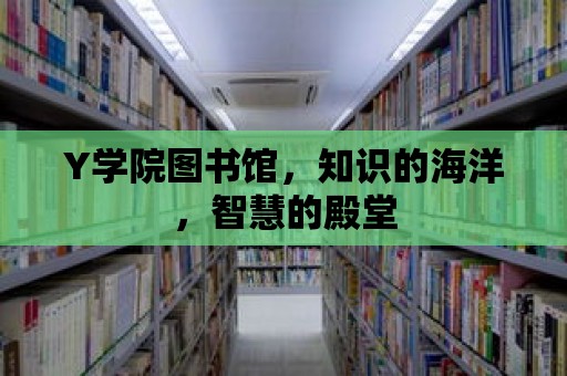 Y學(xué)院圖書館，知識的海洋，智慧的殿堂