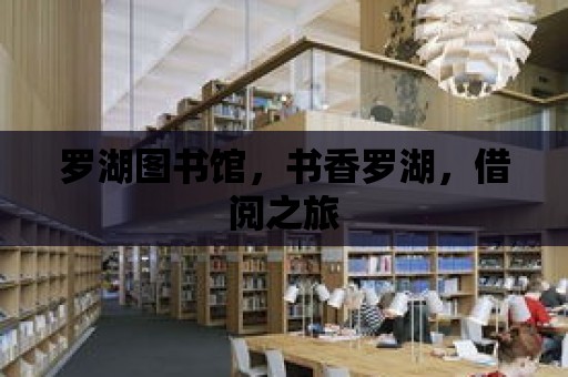 羅湖圖書館，書香羅湖，借閱之旅