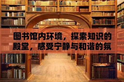 圖書館內(nèi)環(huán)境，探索知識的殿堂，感受寧靜與和諧的氛圍