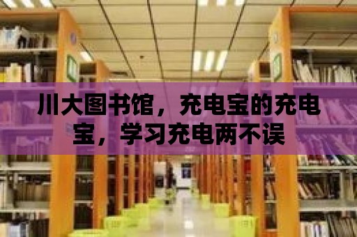 川大圖書館，充電寶的充電寶，學習充電兩不誤