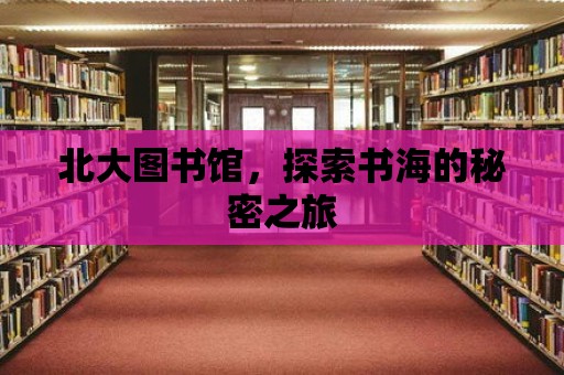 北大圖書館，探索書海的秘密之旅